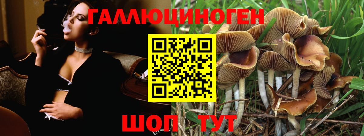 Псилоцибиновые грибы GOLDEN TEACHER  Вход с VPN  Людиново 